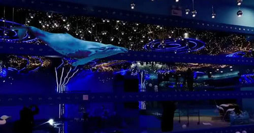 ultime notizie aziendali su 2024 Home Projection Trends: la qualità professionale vince la giovane generazione!